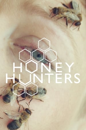 Poster Honey Hunters (2016)