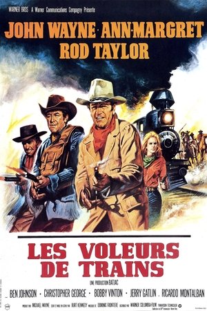 Poster Les Voleurs de Trains 1973