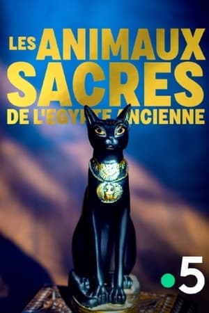 Poster Les animaux sacrés de l'Egypte ancienne (2018)