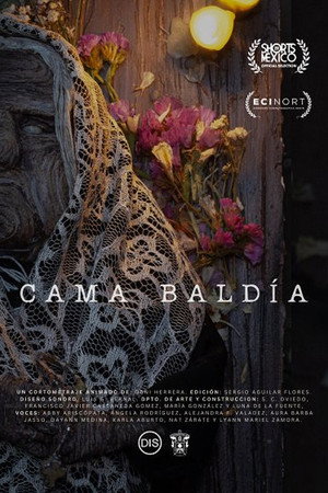 Cama Baldía 5
