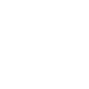 Logo Practical Productions