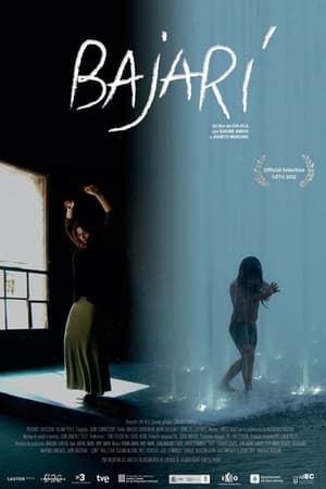 Poster Bajarí (2013)