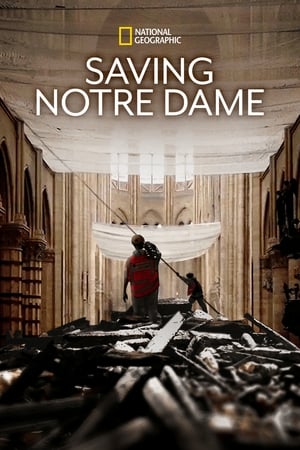 Image Saving Notre Dame