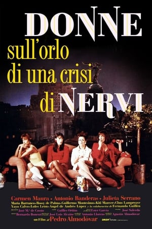 Poster Donne sull'orlo di una crisi di nervi 1988