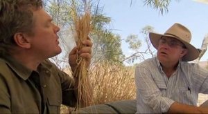 Ray Mears Goes Walkabout Desert