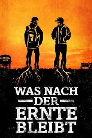 Poster Was nach der Ernte bleibt 2013