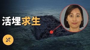 Episode 286 on X调查 Season 1 Episode 286 – September 24, 2024