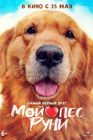 My Heart Puppy 14