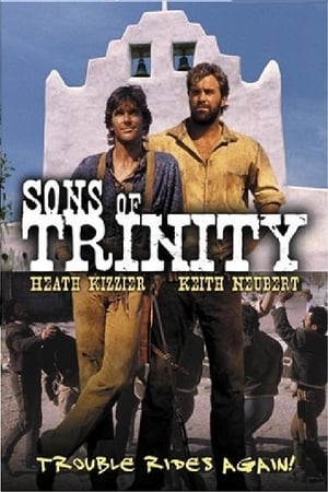 Sons of Trinity poster