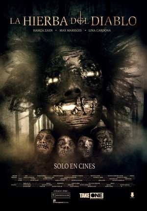El senor de los anillos El retorno del rey Cuevana 3 Todas las peliculas y series gratis en Cuevana