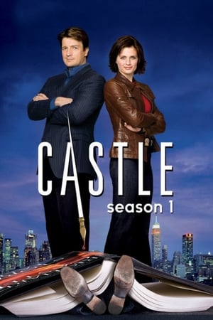 Castle: Season 1