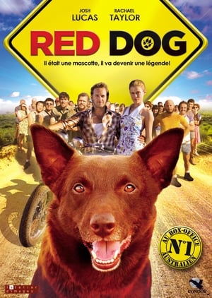 Poster Red Dog 2011
