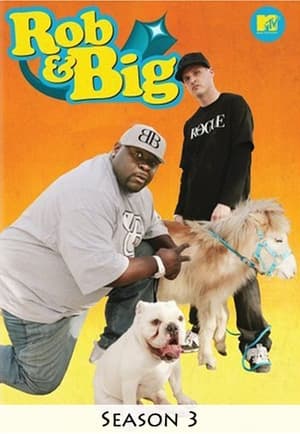 Rob & Big: Saison 3