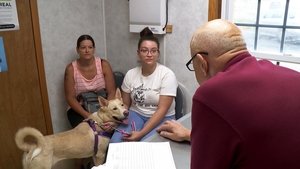 The Incredible Dr. Pol: 17×2
