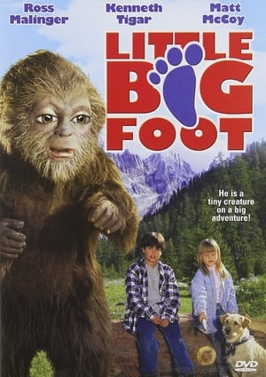 Poster Little Bigfoot 1997