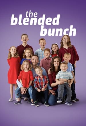 The Blended Bunch Season 1 tv show online