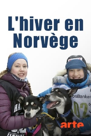 Poster Norwegens schönste Jahreszeit - Der Winter 2017