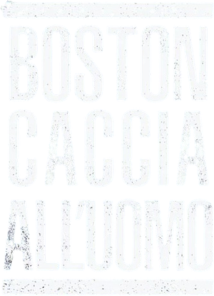Boston – Caccia all’uomo (2016) Streaming official logo