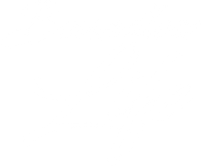 Boundless Life — Logos 1