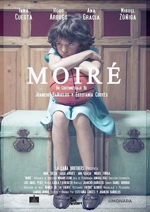 Poster Moiré 2014