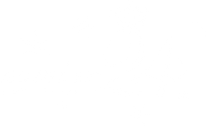 number24 — Logos 2
