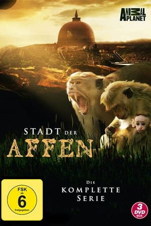 Poster Stadt der Affen 2009