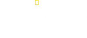 O Desastre do Challenger — Logos 4