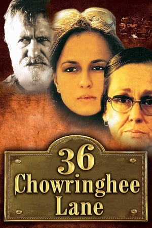 Poster 36 Chowringhee Lane (1981)