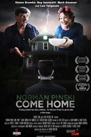 Poster Norman Pinski Come Home 2017