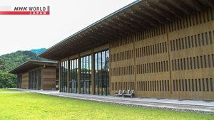 Journeys in Japan: 14×19