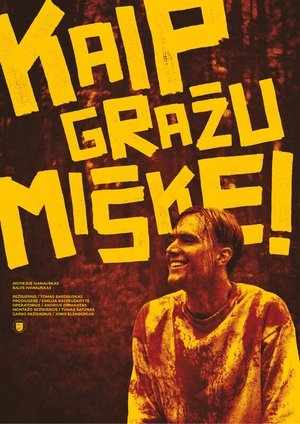 Image Kaip Gražu Miške!