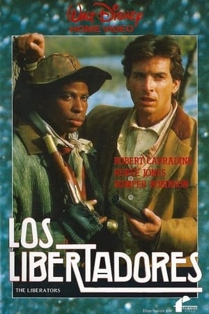 The Liberators poster