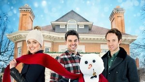 Un amore nella neve (2017)