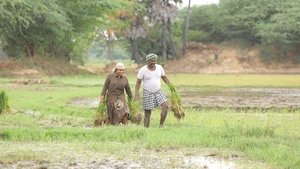 Bison: Kaalamaadan (2025) [Hindi + Tamil]