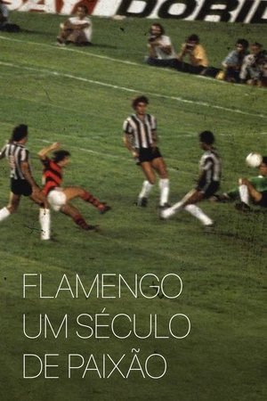 Image Flamengo: Um Século de Paixão