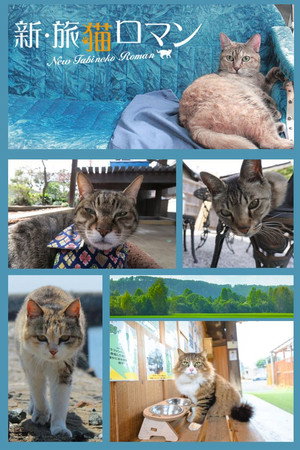 新・旅猫ロマン