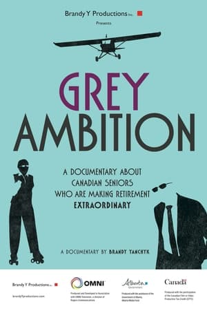 Image Grey Ambition