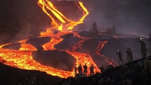 Le volcan de La Palma - La vie après l’éruption