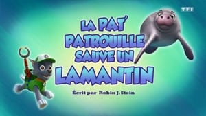 Paw Patrol Helfer auf vier Pfoten: 6×21