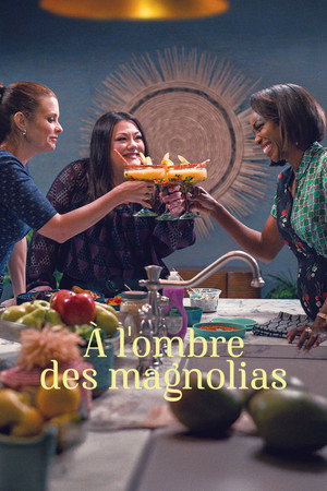 À l'ombre des magnolias streaming