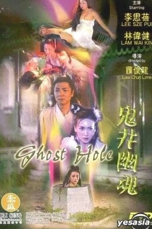 Poster Mysterious Hole (2004)