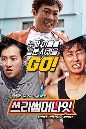 Poster 쓰리 썸머 나잇 2015