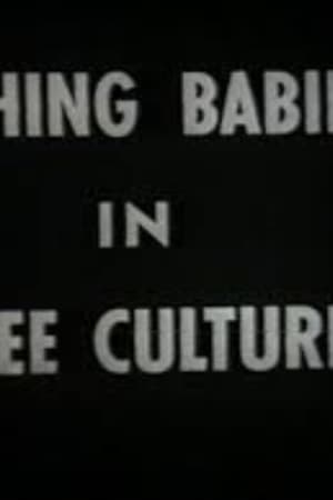 Poster Bathing Babies In Three Cultures 1954
