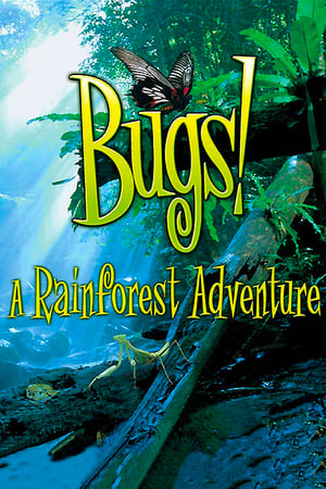 Poster Bugs ! : A Rainforest Adventure 2003