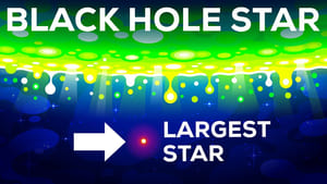 Kurzgesagt - In a Nutshell Black Hole Star – The Star That Shouldn't Exist