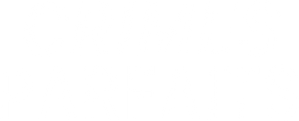 Crimes parfaits — logo