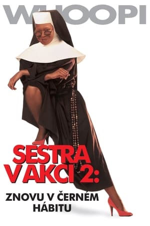 Sestra v akci 2 (1993)