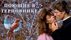 poster The Thorn Birds