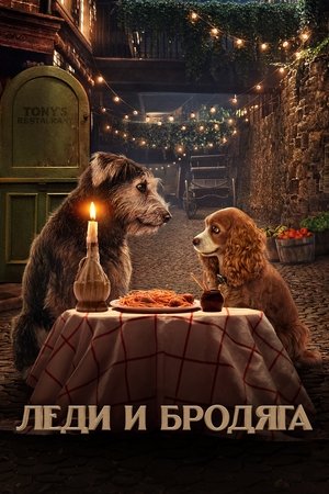 Image Леди и Бродяга