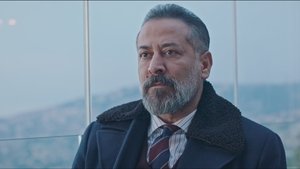 Episodio 26